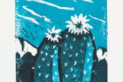Cactus-Flower_edited-1