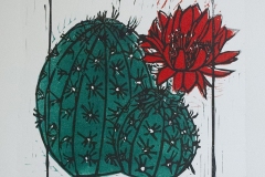 DSC0084CactusMultiblock