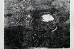 Jellyfish-1