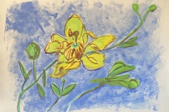 VASQUEZ-MARY-CREOSOTE-BLOSSOM