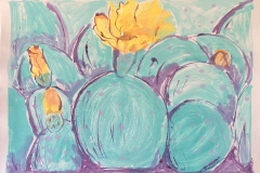 VASQUEZ-MARY-YELLOW-FLOWERING-CACTUS-