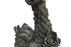 1_CHOLLA-CACTUS